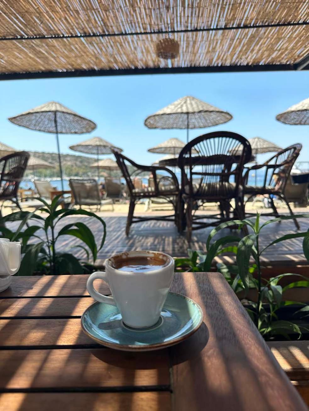 Hotel Ambrosia & 5*